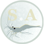 S.A [Shrimp Associates]