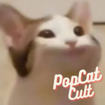 PopCat Cult