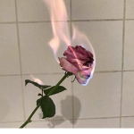 Bâd Vībēš