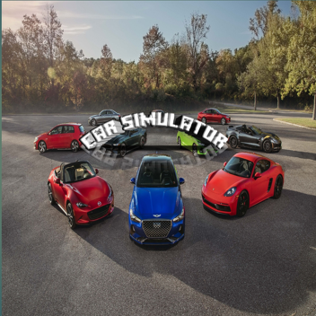 Car Simulator