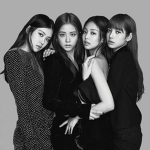 Blackpink fan group <3