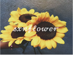BloomingSunflowers