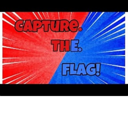 Capture the flag [new]