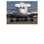 KatAirways