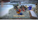 Anarchy's Survival Group