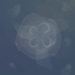 海月