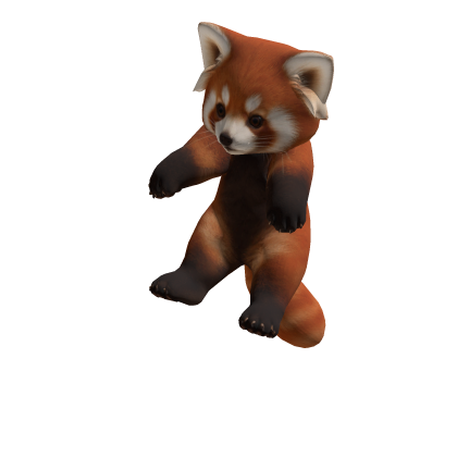 Red Panda Pet