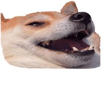 ppppppp