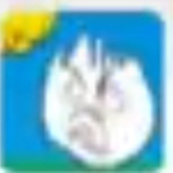 Radom Head race thingy