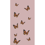 My little butterfly