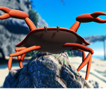 Crab Rave Group
