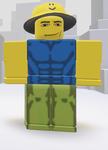 The king of the pirates gang