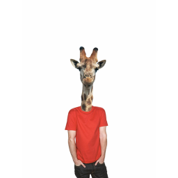 Giraffe in a mega store