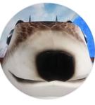 Ardilla_YT fans