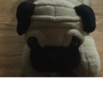 Official pug fan group XD