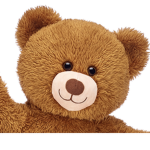 bear. Oso