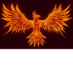 Team Phoenix Taco