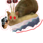 kitty kitty cat slug's
