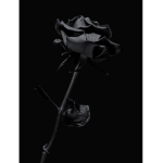Dark Vengeance (VARK)