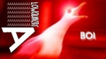 aaaaaaaaaaaaaaaaaaaaaaaaaaaa @