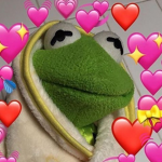The Aesthetic Frog