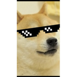 OP DOGES