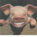 ThePiggo's