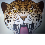The cheetahs of coolness