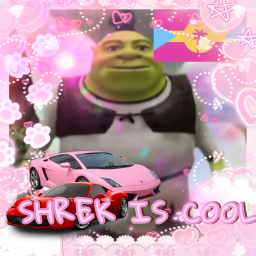 shrek is cool CARS 🏎️🏁