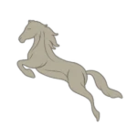 [ SPQR ] Equestrian Order