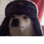 Puzonik's nation