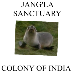 [HOUSE] Jang'la Sanctuary, Sikkim