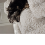 My puppy mia