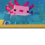 The Squad of Axolotl