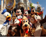 Disney Fan Group