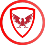 Nebula Elite Forces