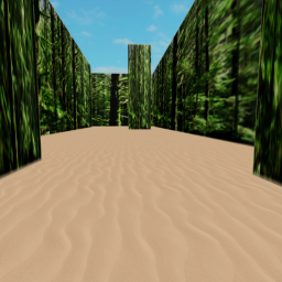 Hard Maze