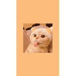 Renchi