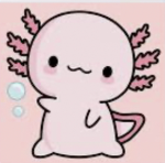 • The Axolotl •