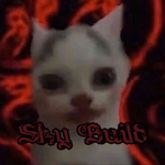 Sky build