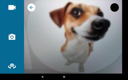 MORTH INTO DOGS AND UNLOCK THEM UPDATE