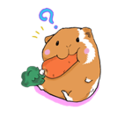 Ello hamster group!