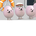 Egg do g