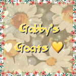 Gabby’s Goats