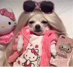 Baddies 0nly gr0up
