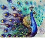 Peacock Power