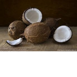 Coconut obby (Early access)