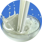 🥛MILK! (Regenerates HP!)