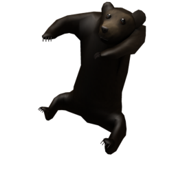 Bear The Dudes's training center