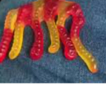 Gummy Elephant Fan Club